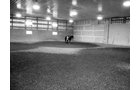 Property photo 50 - 80 Acres Offered in 4 Tracts - Horse Farm